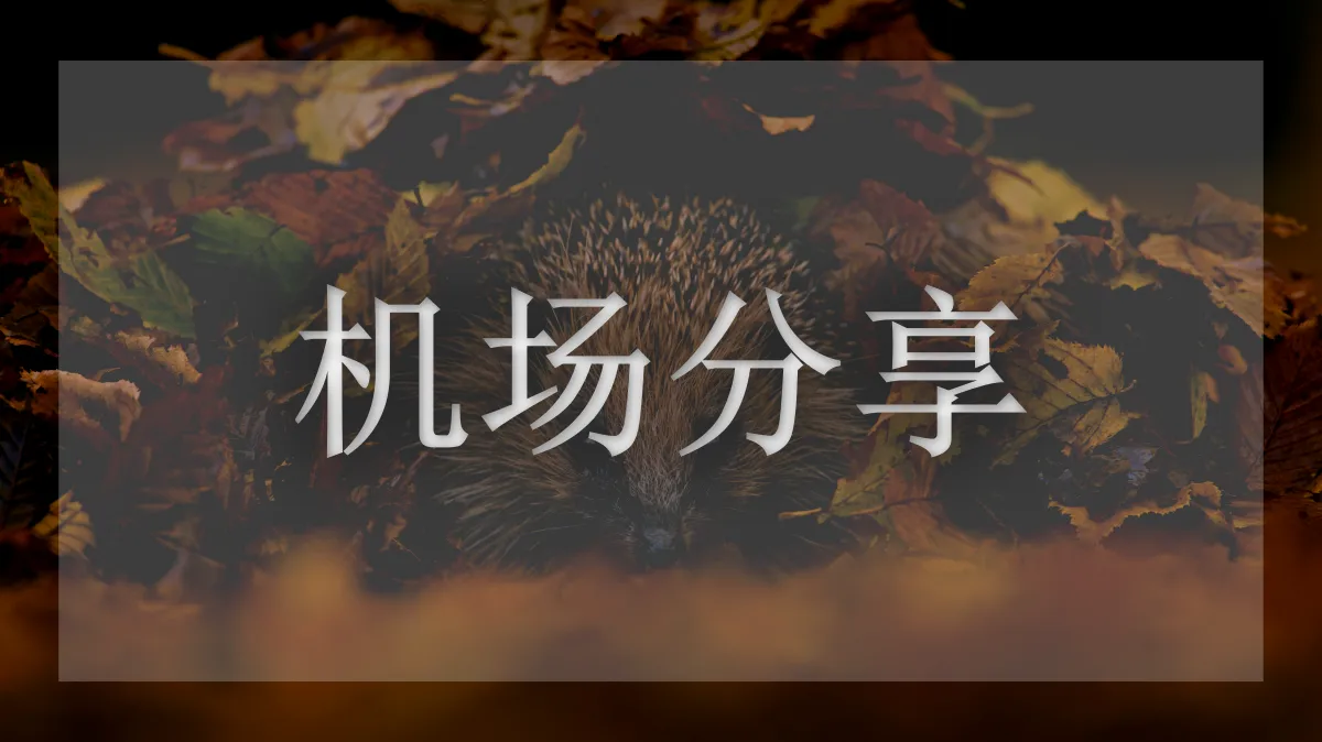 霓虹云的图片信息