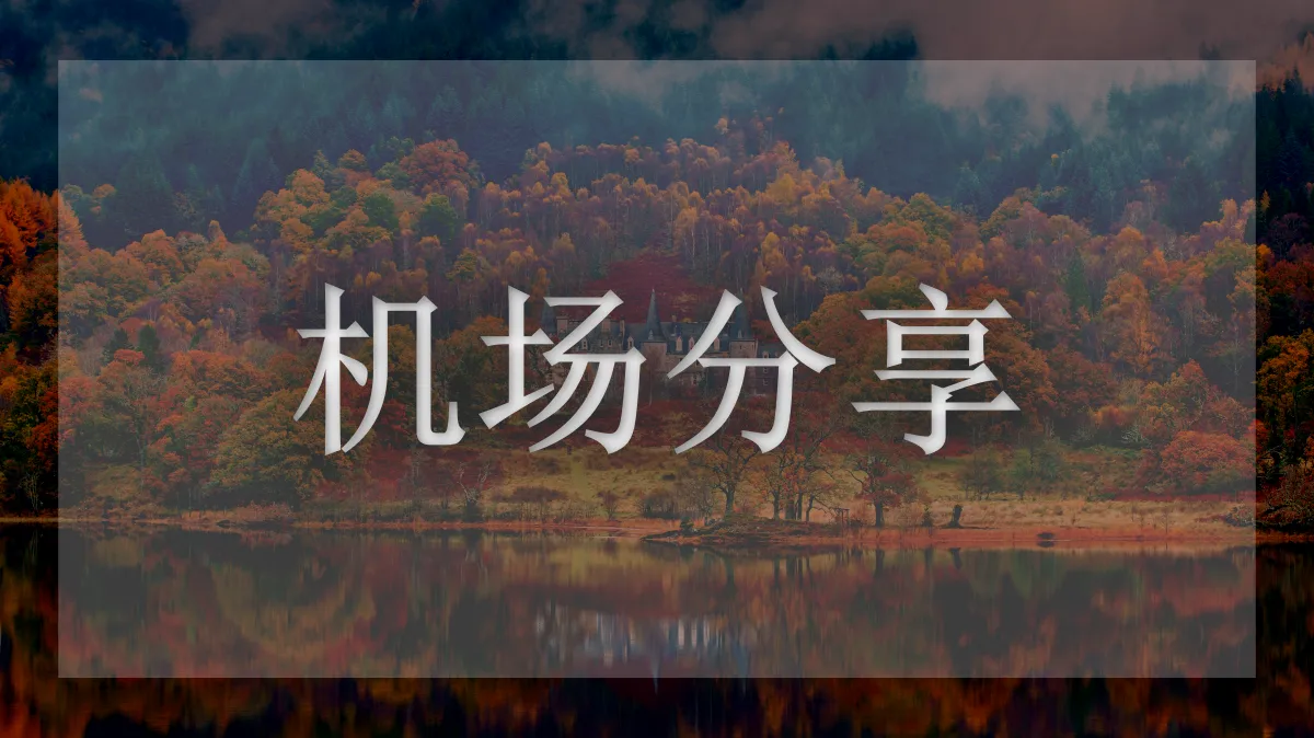 泡泡Dog的图片信息