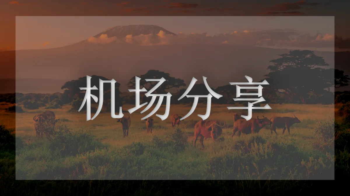 赔钱的图片信息