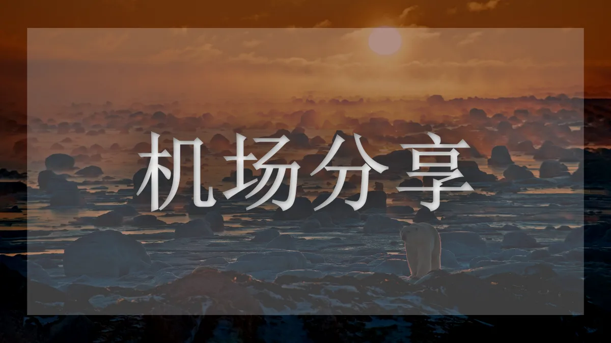 千速喵的图片信息