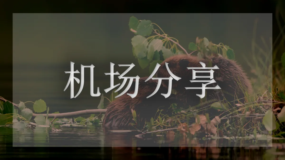 CAC Apex的图片信息