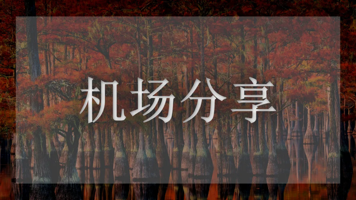 闪电机场的图片信息