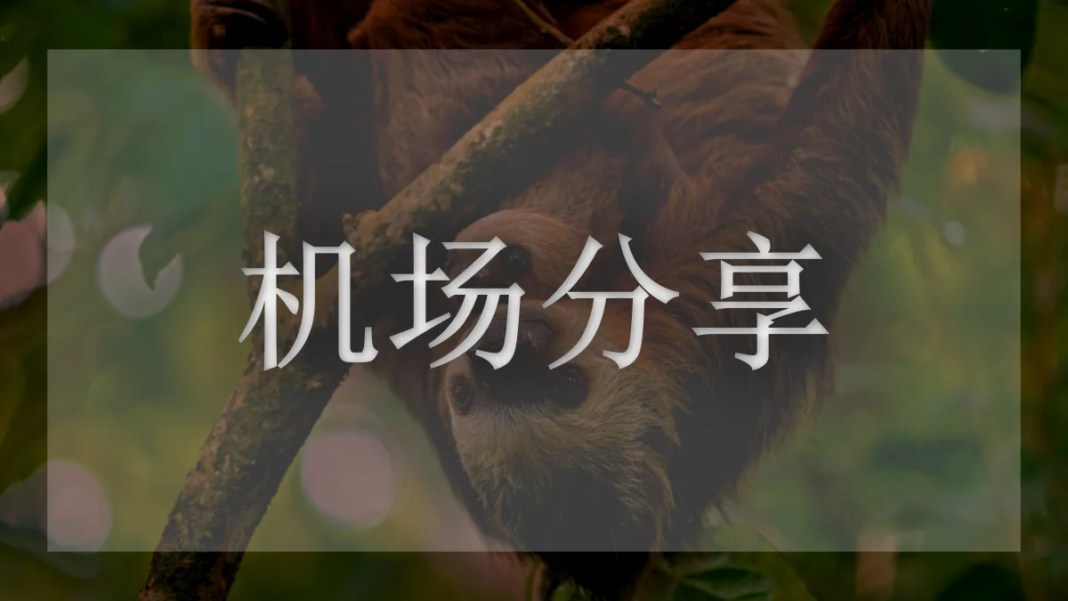 闪电机场的图片信息