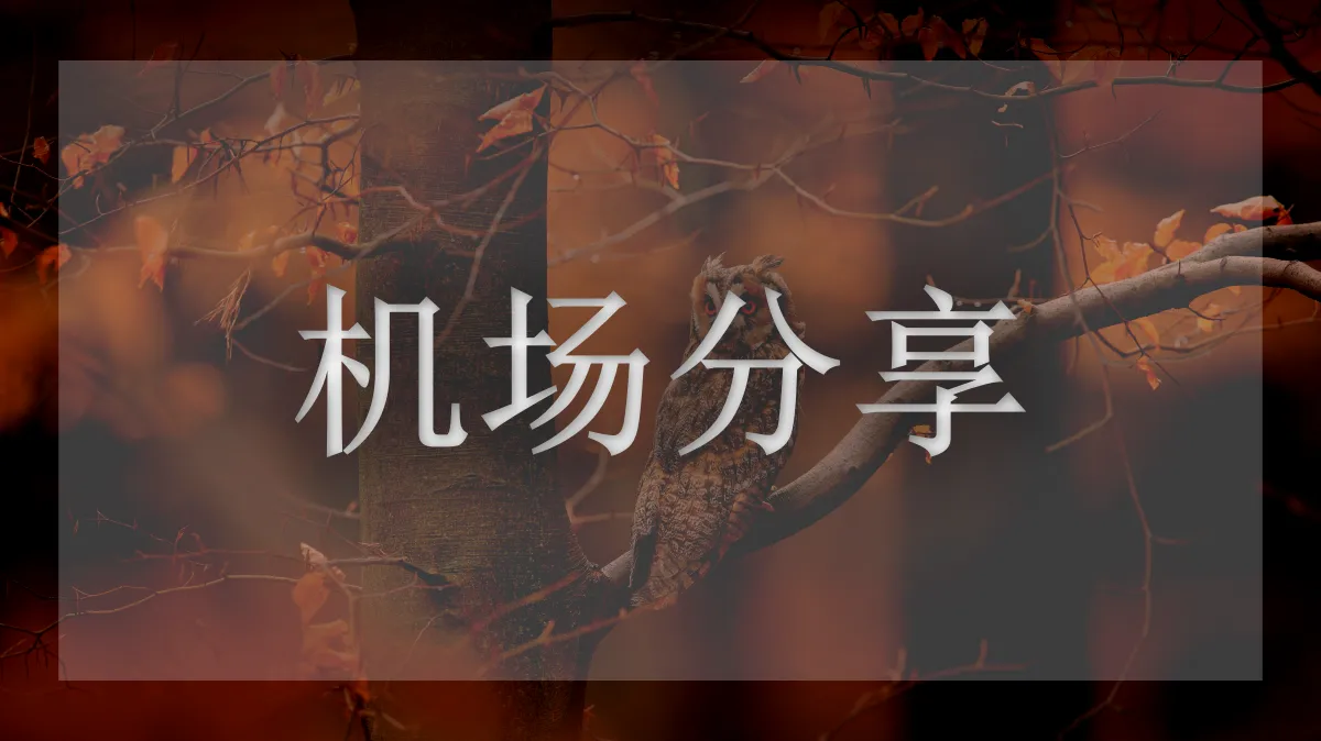的图片信息