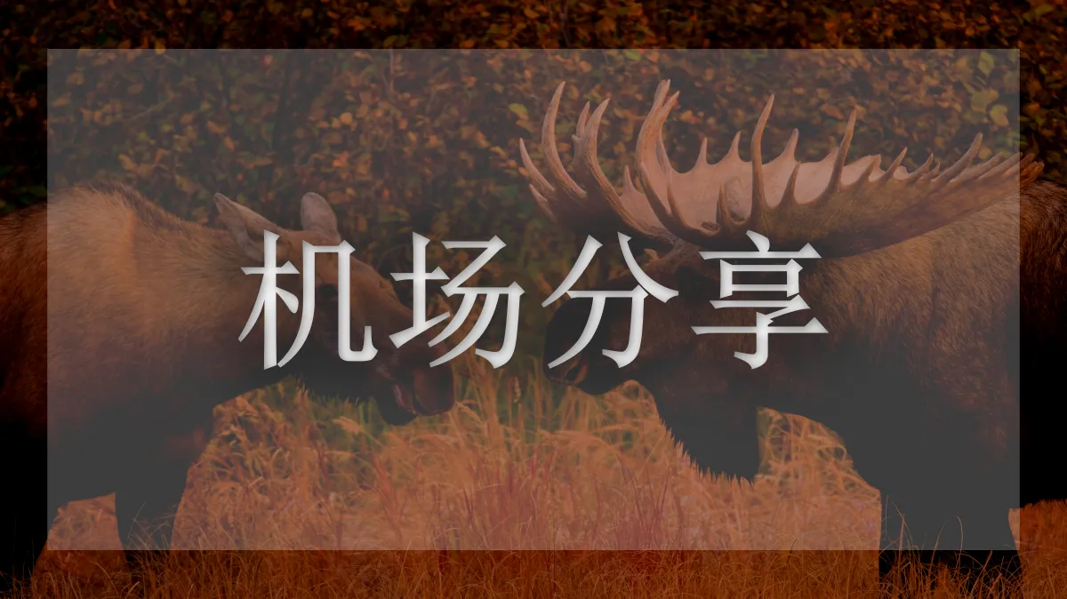 小鲤鱼机场的图片信息