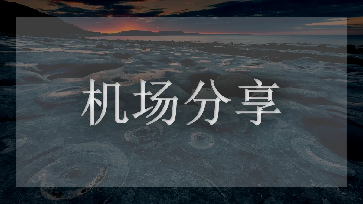 小鲤鱼机场的图片信息
