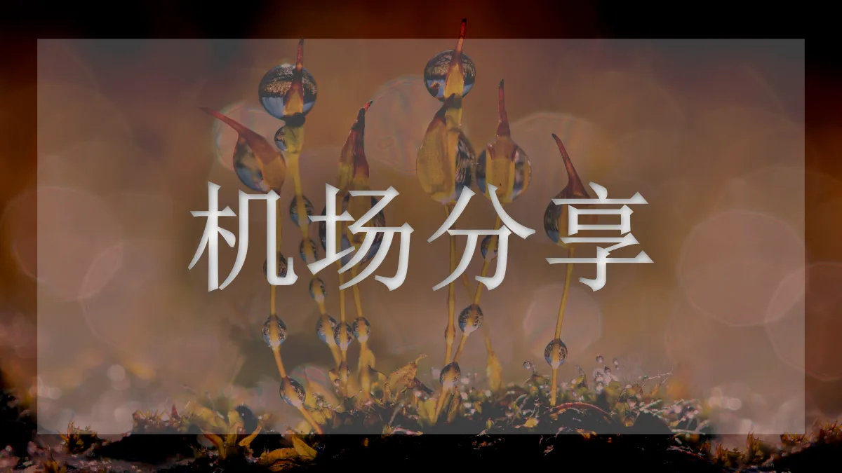 小旋风机场的图片信息