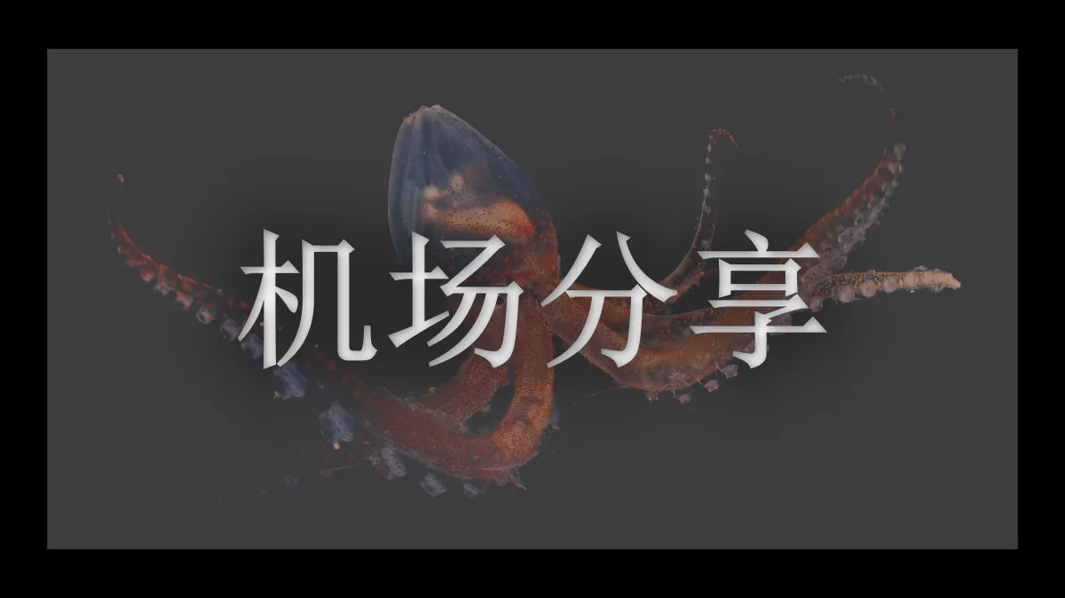 星链云机场的图片信息