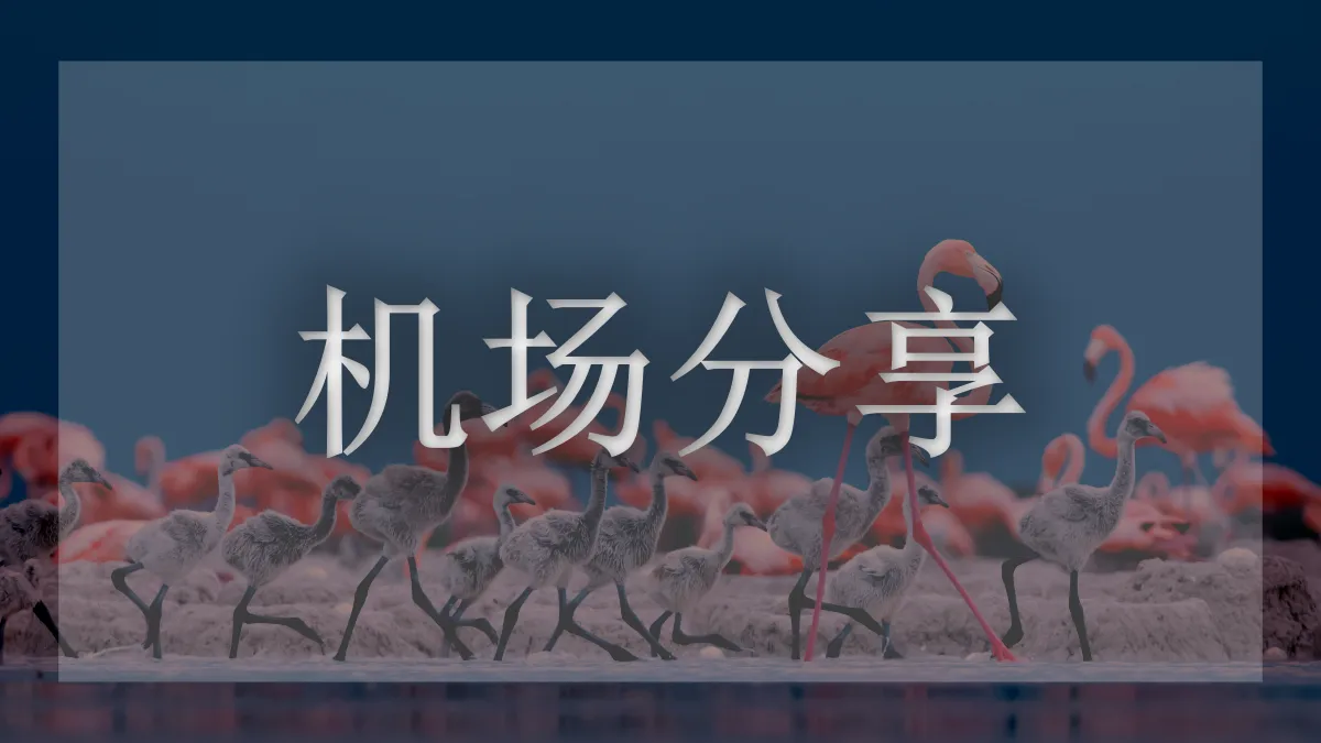 夜煞云的图片信息