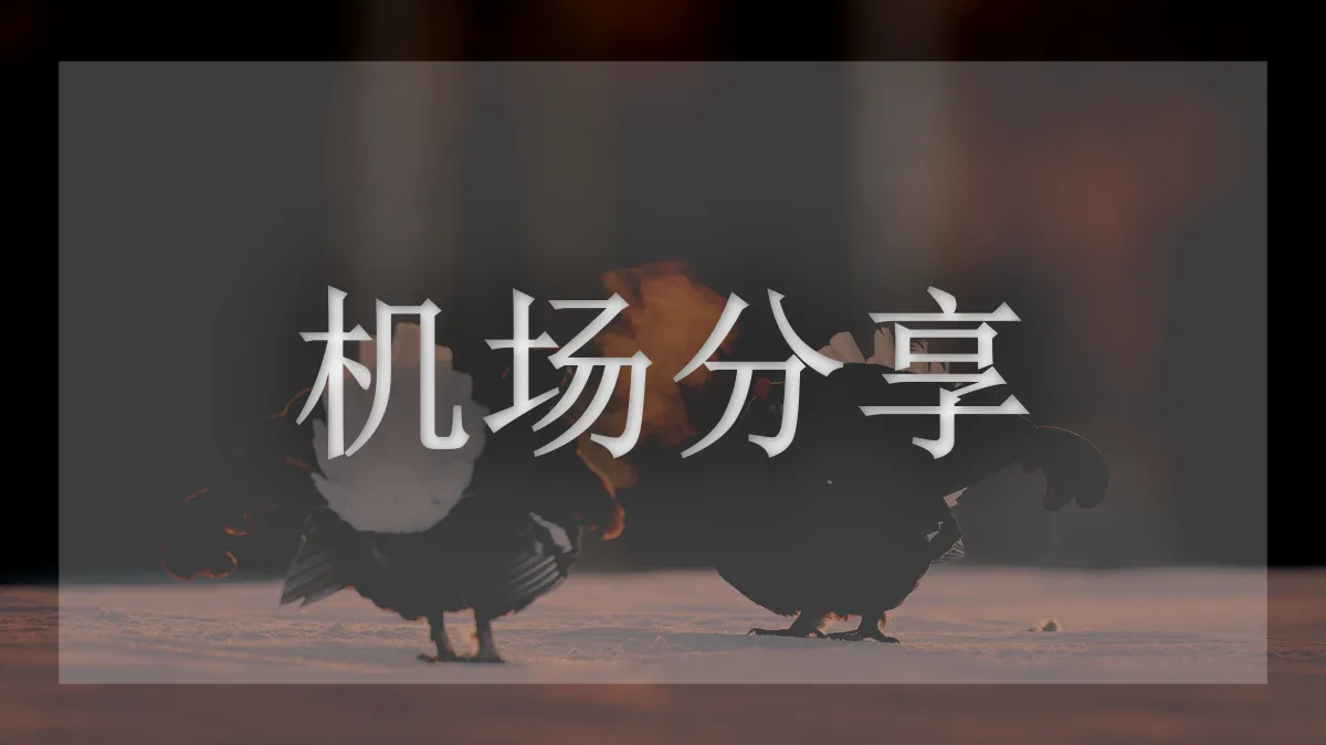 CyberGuard的图片信息