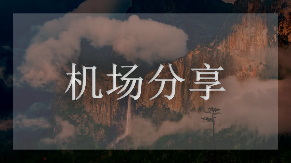 一枝红杏机场的图片信息