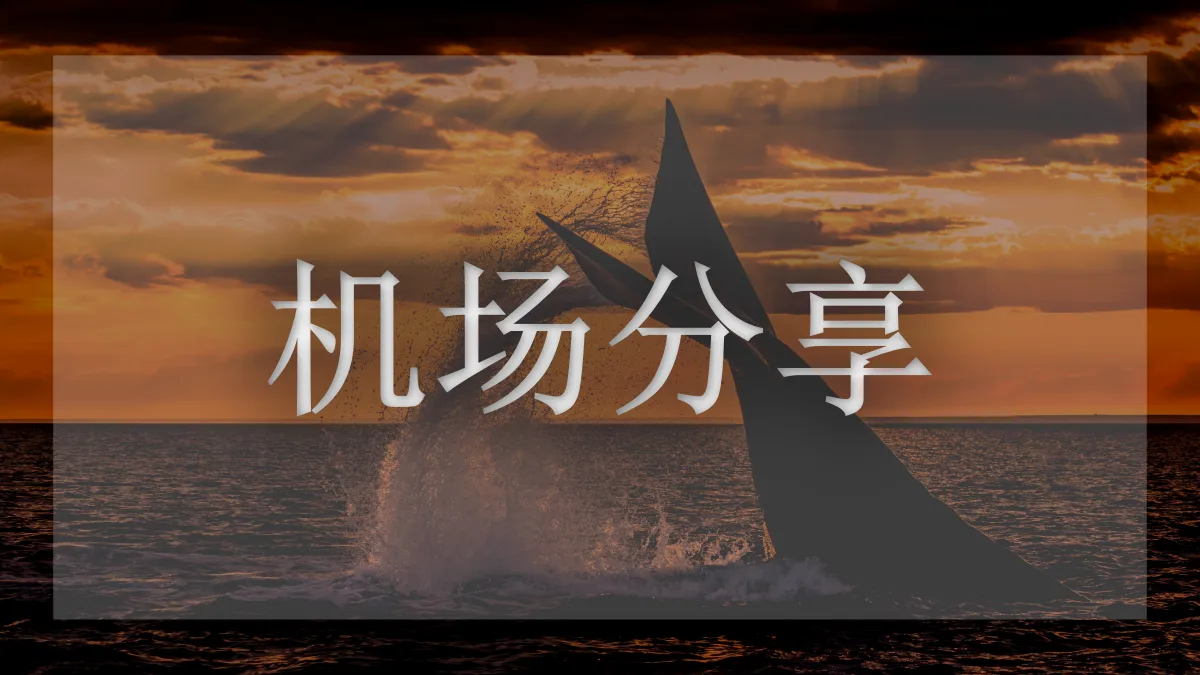 一枝红杏机场的图片信息