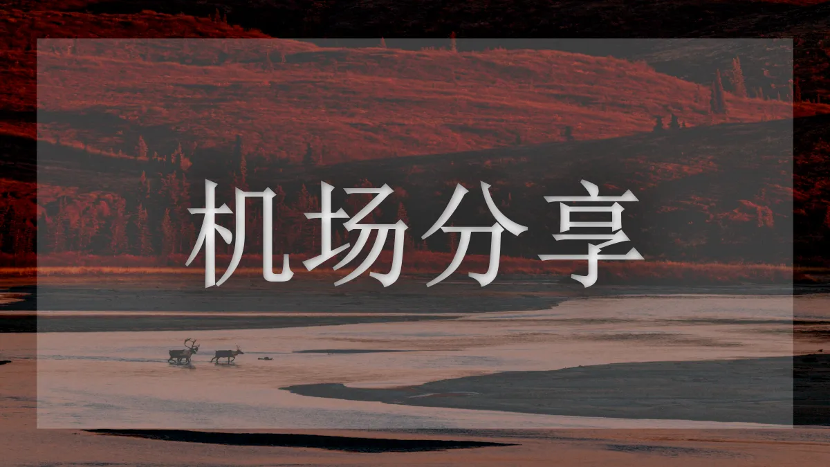 掌中世界机场的图片信息