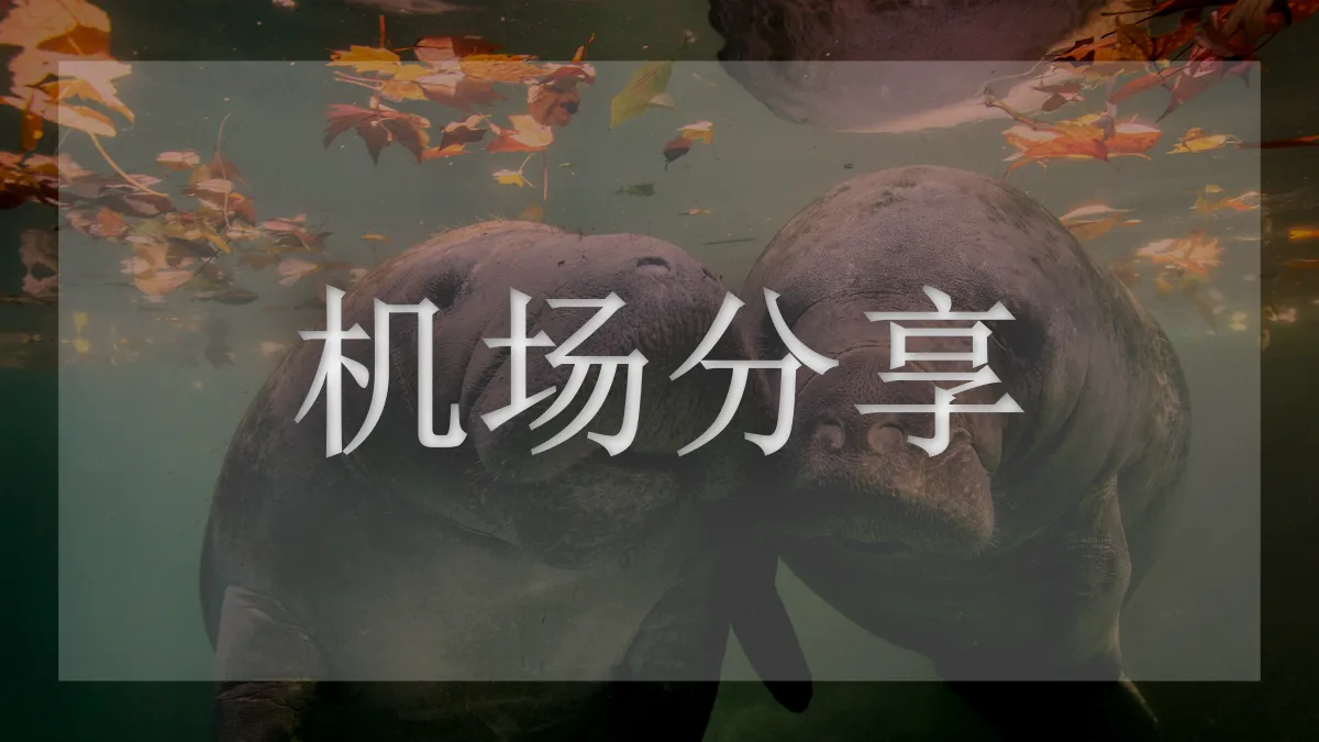 FSCloud的图片信息