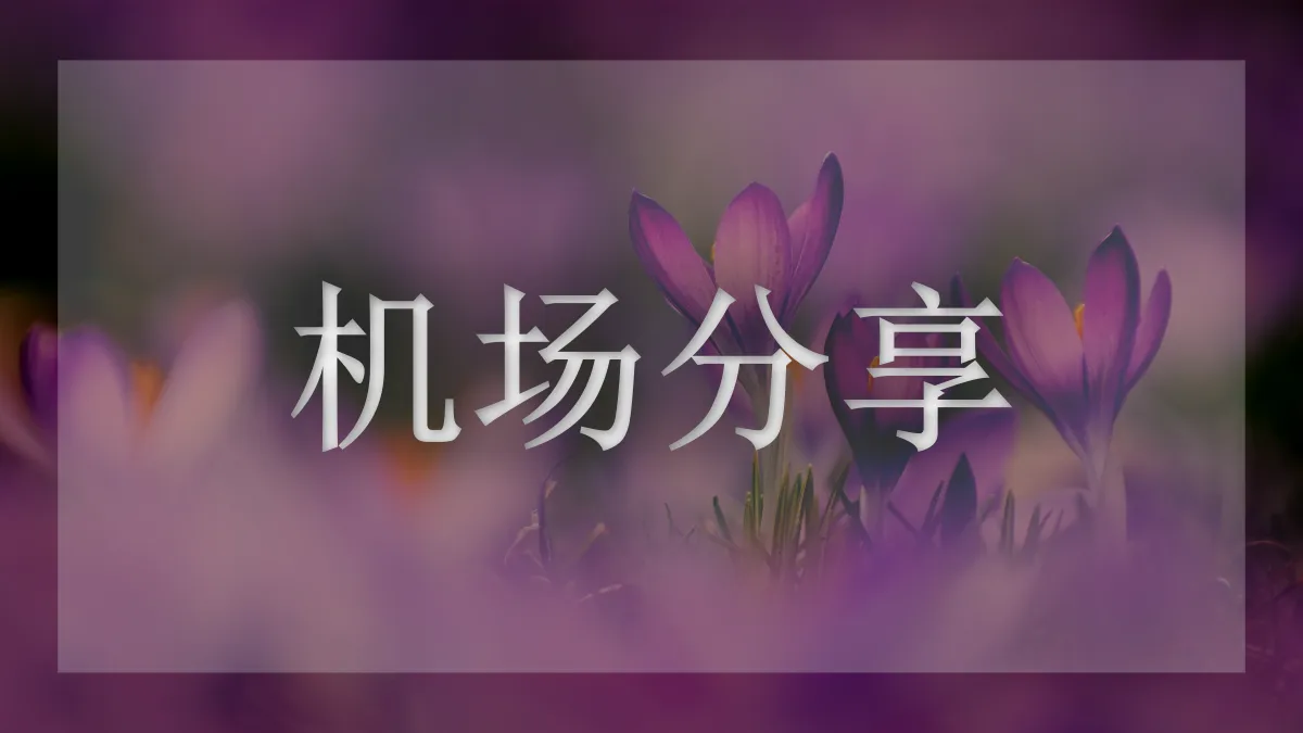 奶昔的图片信息