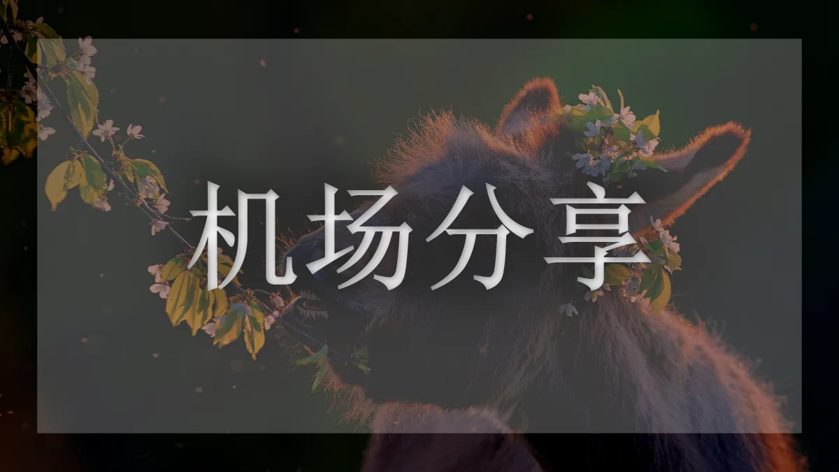 Riolu的图片信息