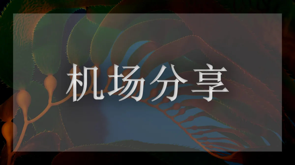 SpeedCAT机场的图片信息