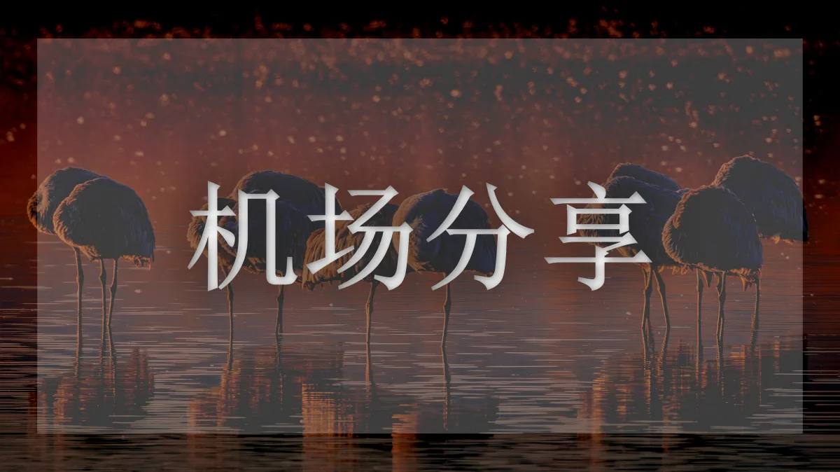 V2free的图片信息
