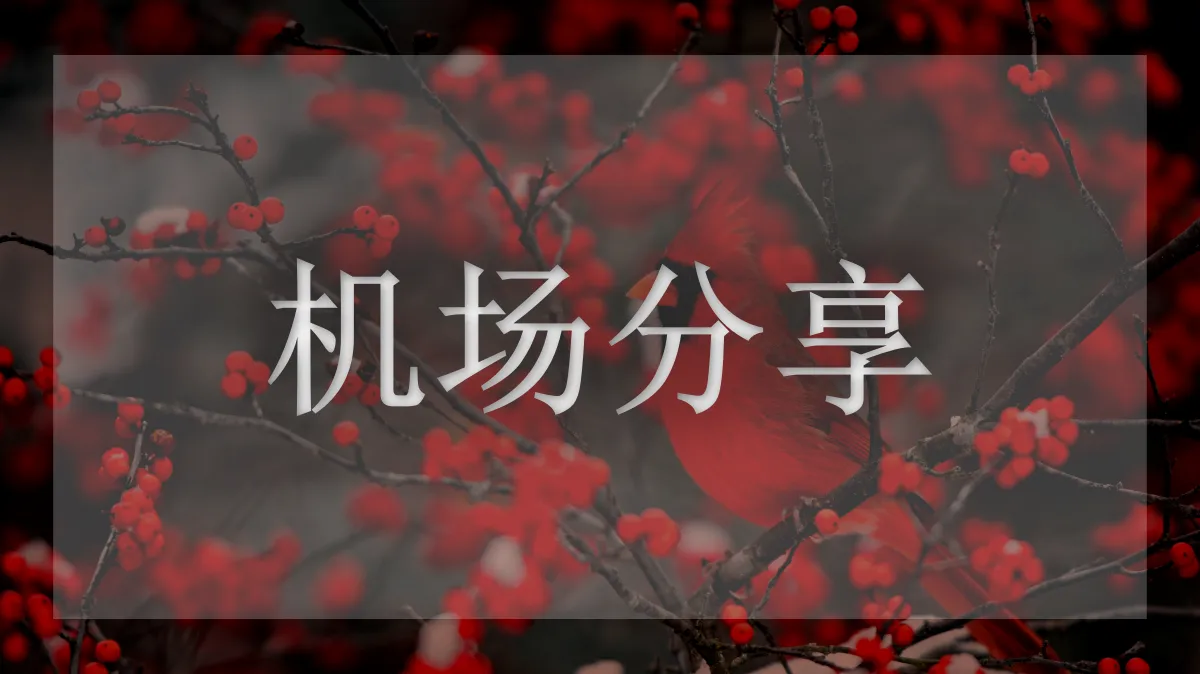 虫洞的图片信息