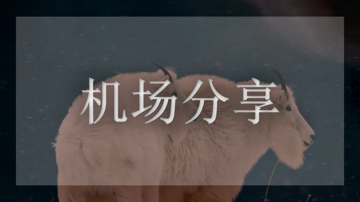 次元链接的图片信息