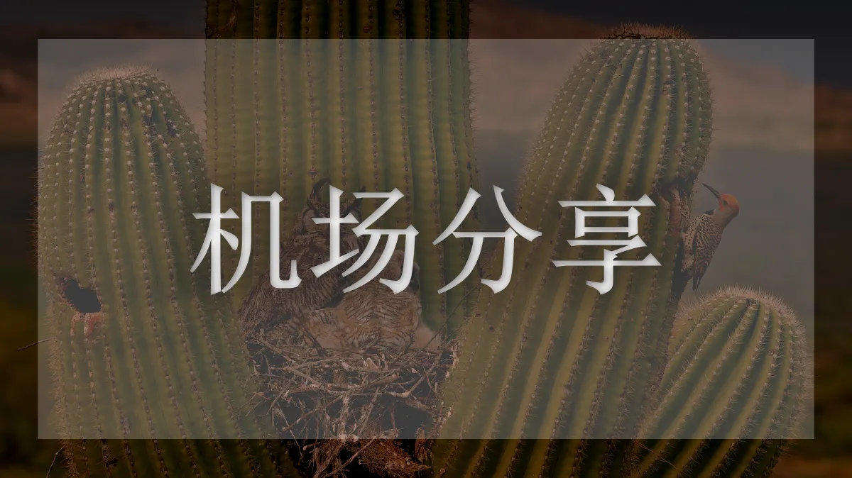 大牛云的图片信息