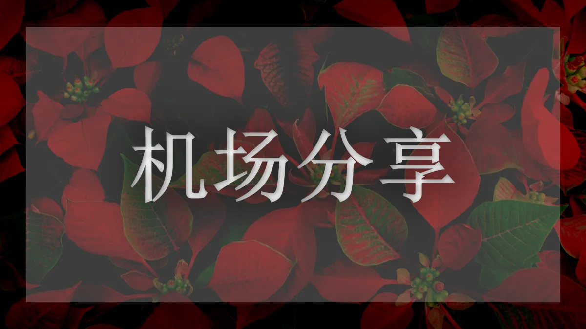 灯塔Cloud的图片信息