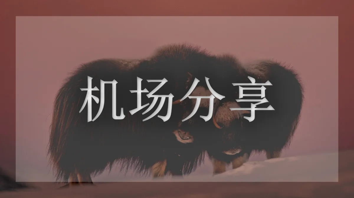 杜卡迪的图片信息
