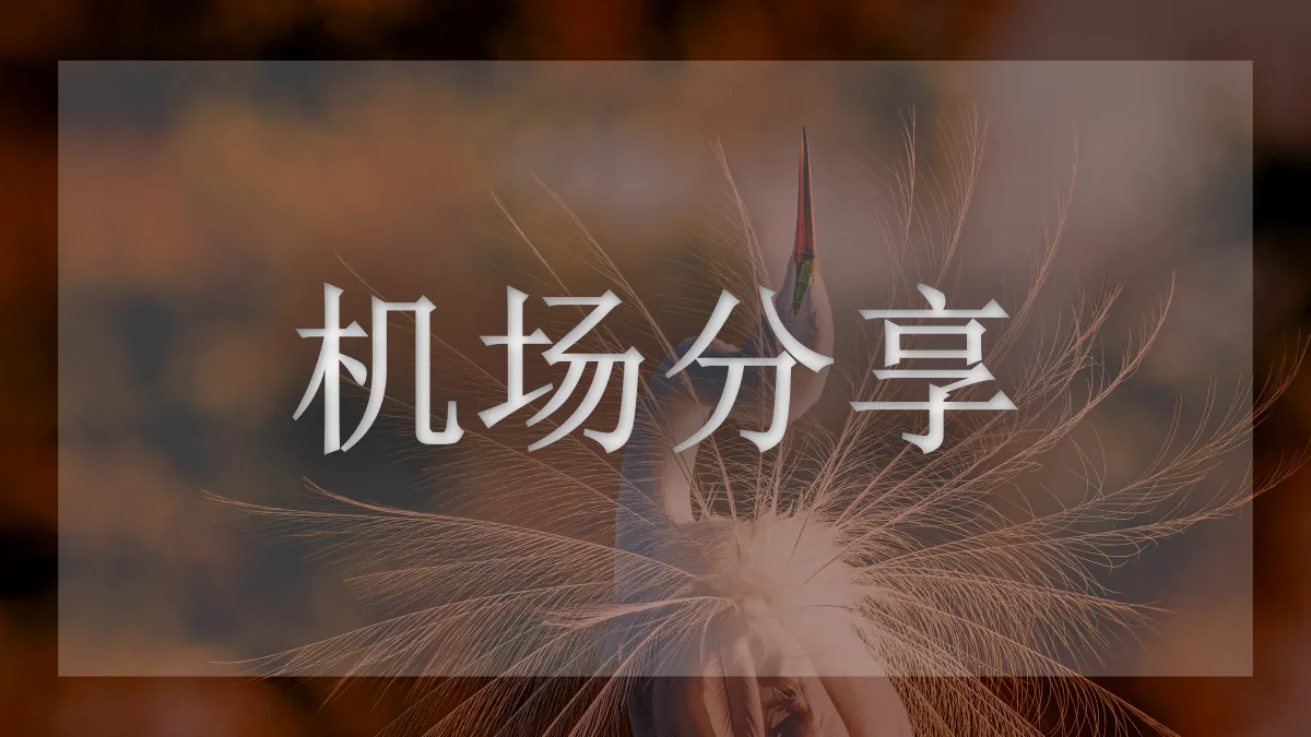 飞鸟的图片信息