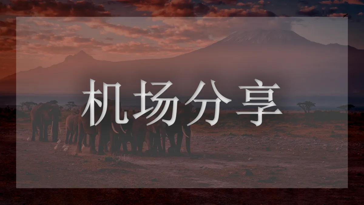 狗狗加速的图片信息