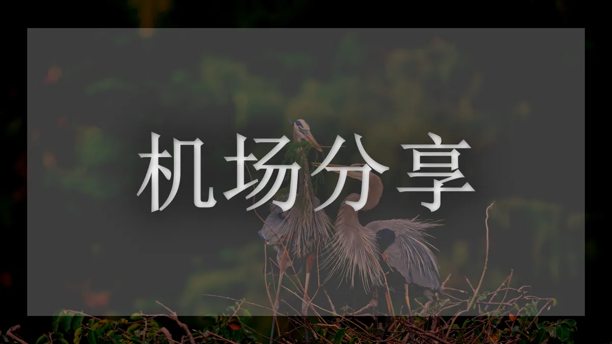 红杏VPN的图片信息
