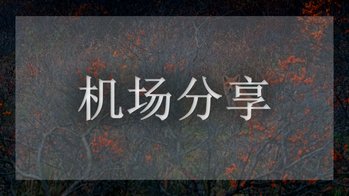 老猫云的图片信息