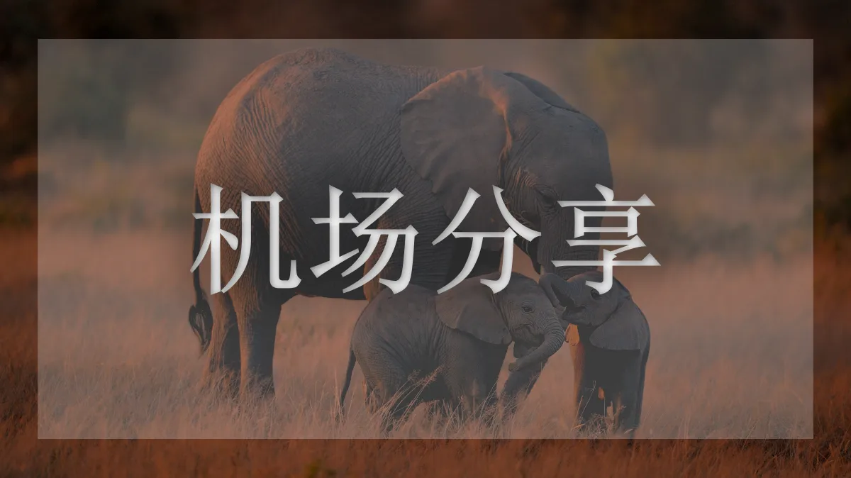 ByWave的图片信息